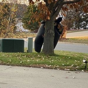 Meet your Posher, Abigail